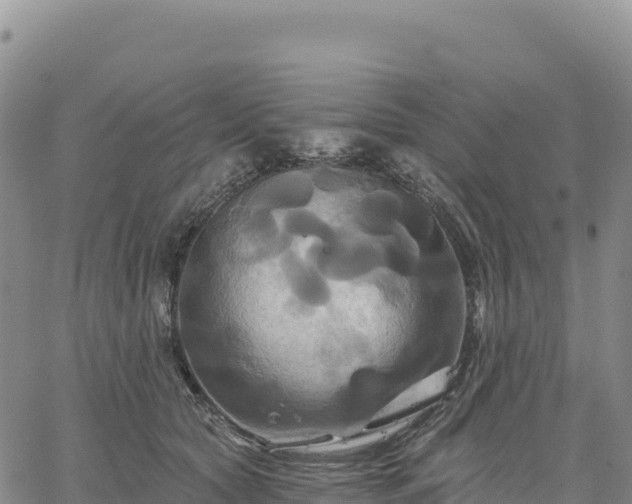 X0000061750561200512091638