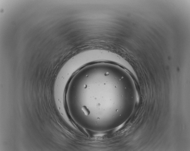 X0000061750562200512091638