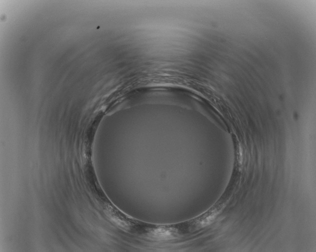 X0000061750566200512091639