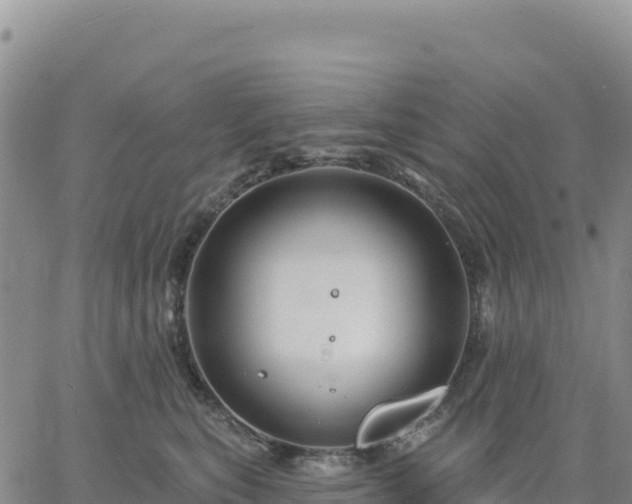 X0000061750567200512091639