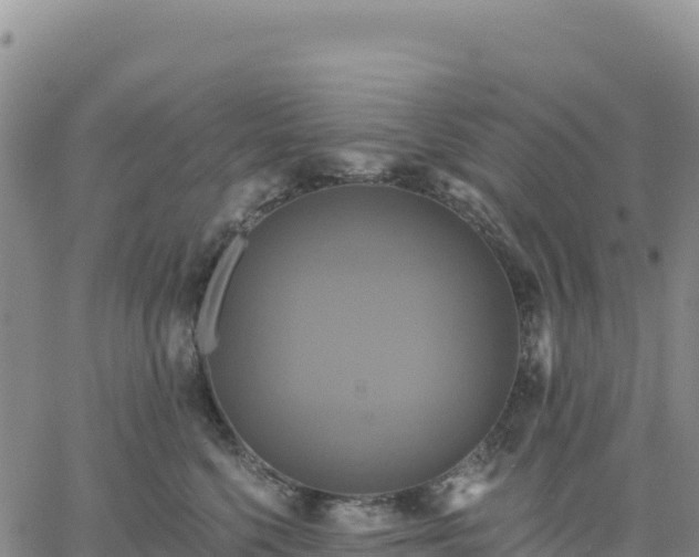 X0000061750568200512091639