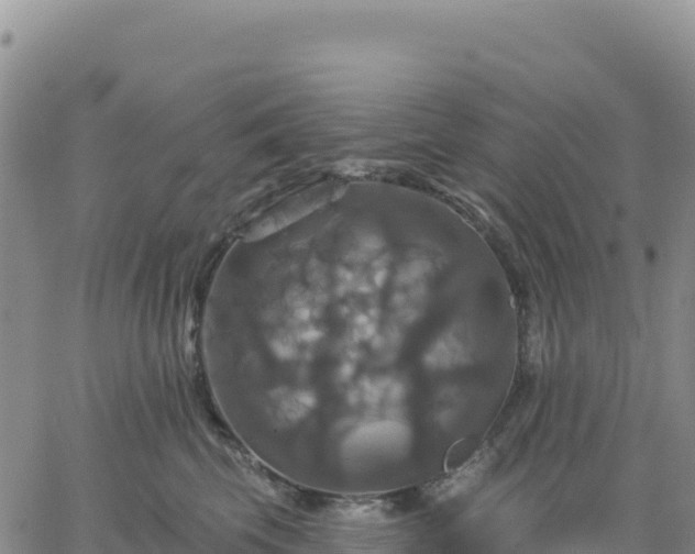 X0000061750569200512091639