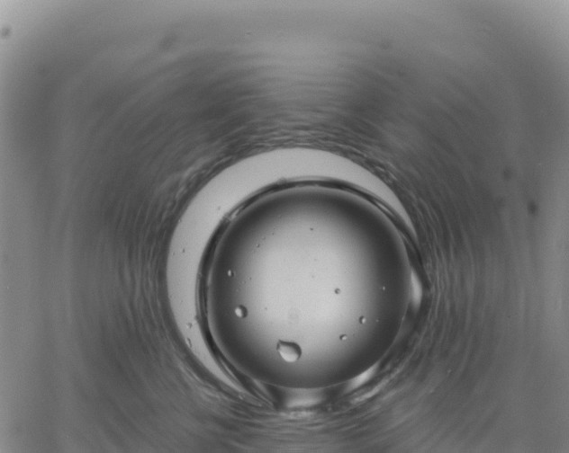 X0000061750570200512091639