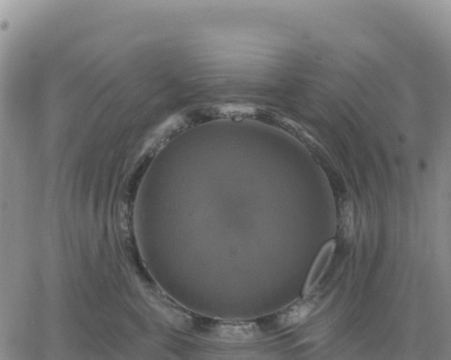 X0000061750571200512091639