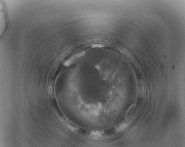 X0000061750573200512091639