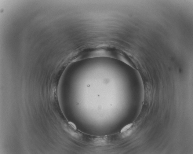 X0000061750574200512091639