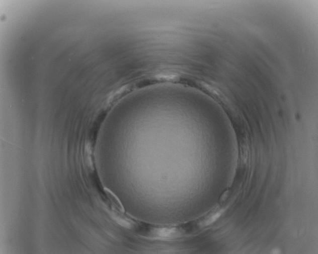 X0000061750575200512091639