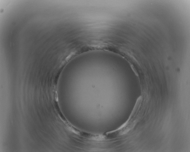 X0000061750576200512091639