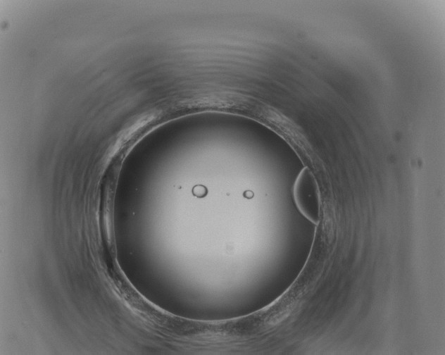 X0000061750578200512091638