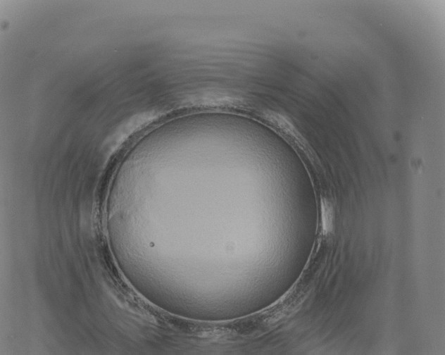 X0000061750579200512091638