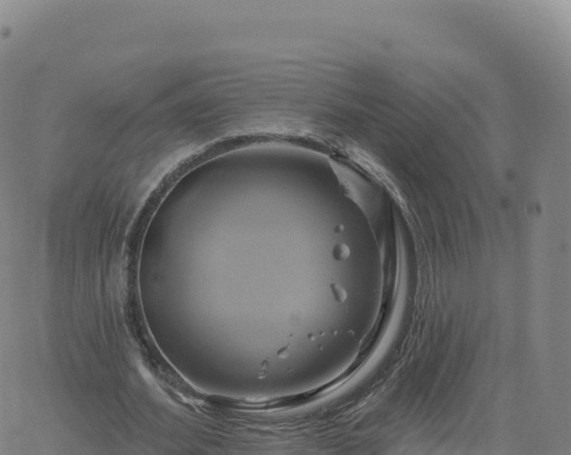 X0000061750580200512091638