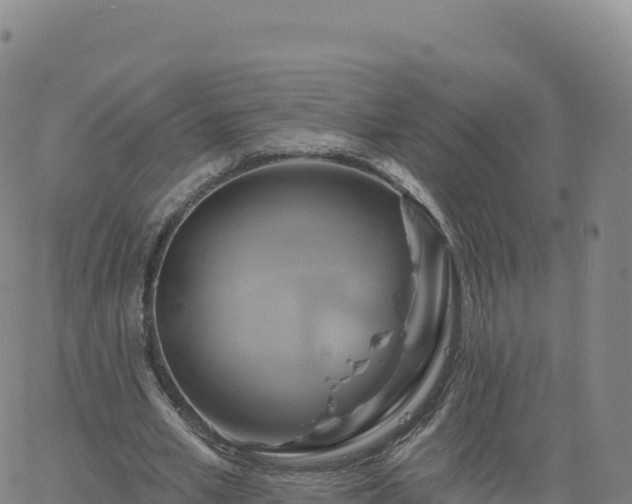 X0000061750581200512091638