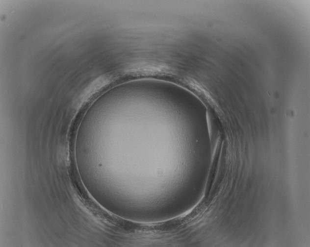 X0000061750582200512091638