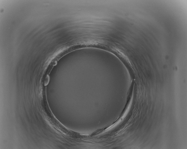 X0000061750584200512091638