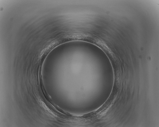 X0000061750585200512091638