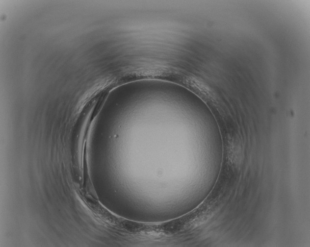 X0000061750586200512091638