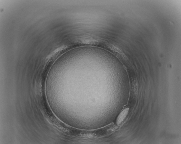 X0000061750587200512091638