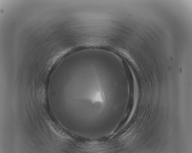 X0000061750588200512091638