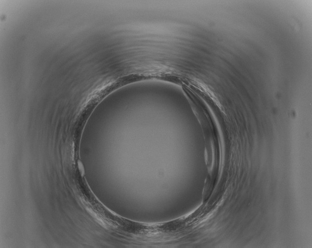 X0000061750589200512091638