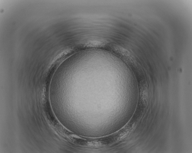 X0000061750591200512091638