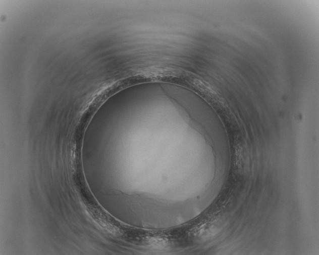 X0000061750592200512091638