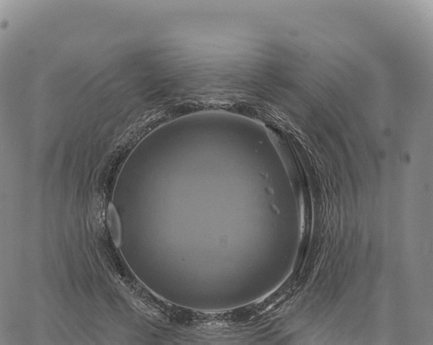 X0000061750593200512091638