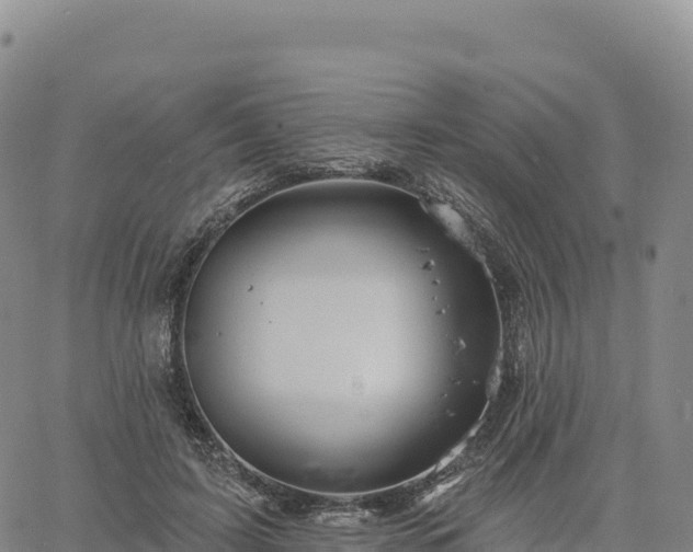 X0000061750595200512091638