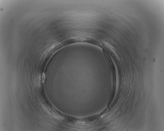 X0000061750596200512091638