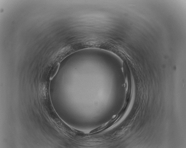 X0000061750597200512091638