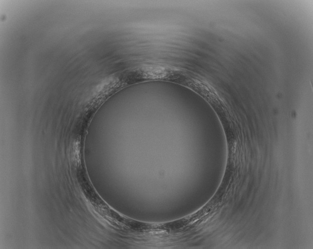 X0000061750598200512091638