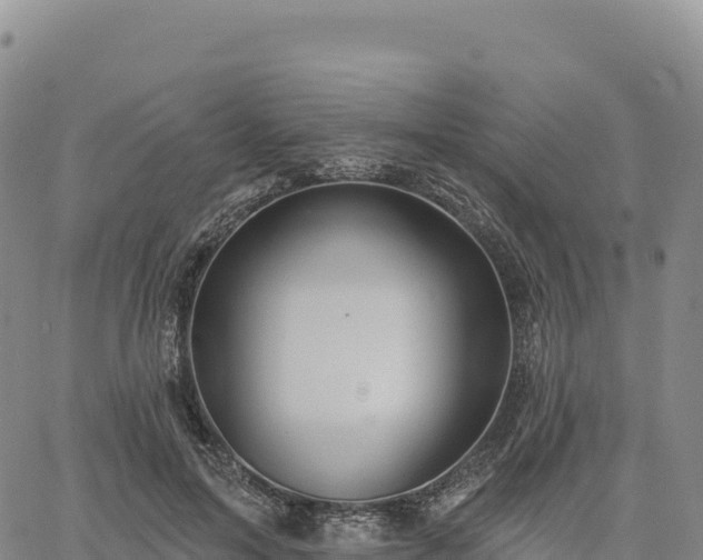 X0000061750599200512091638