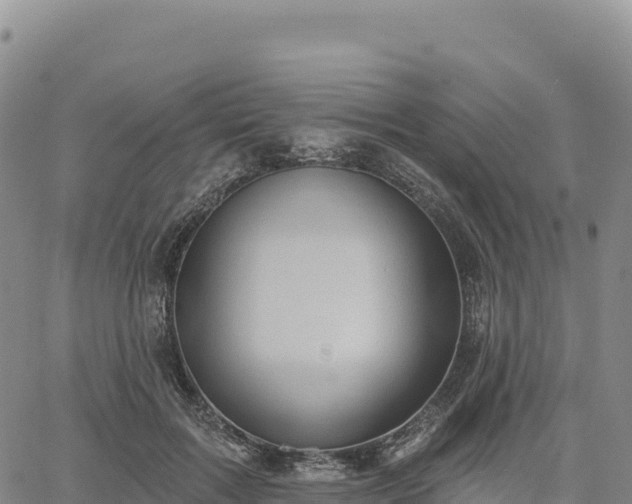 X0000061750603200512091638