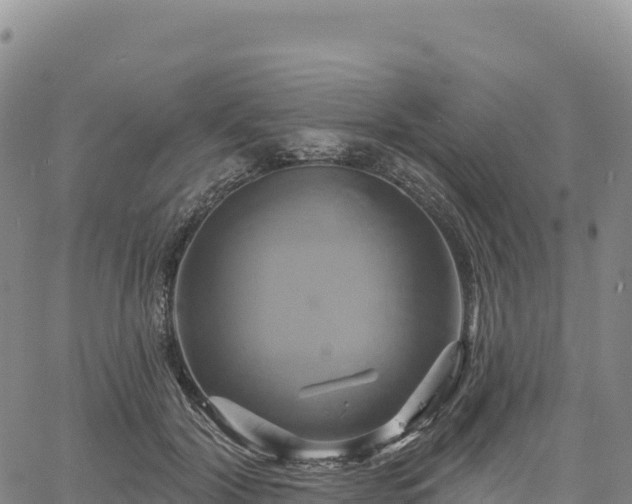 X0000061750604200512091637