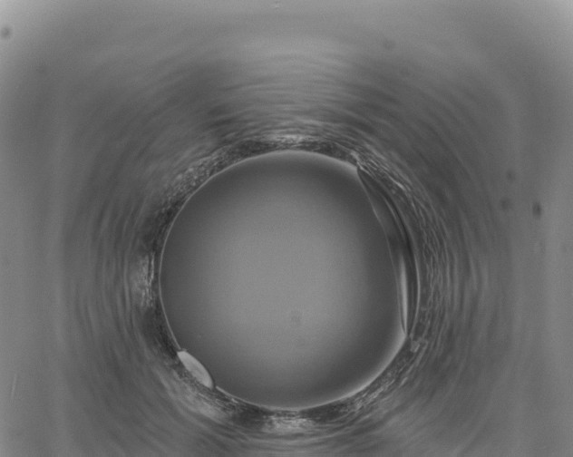 X0000061750605200512091637