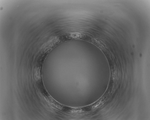 X0000061750606200512091637