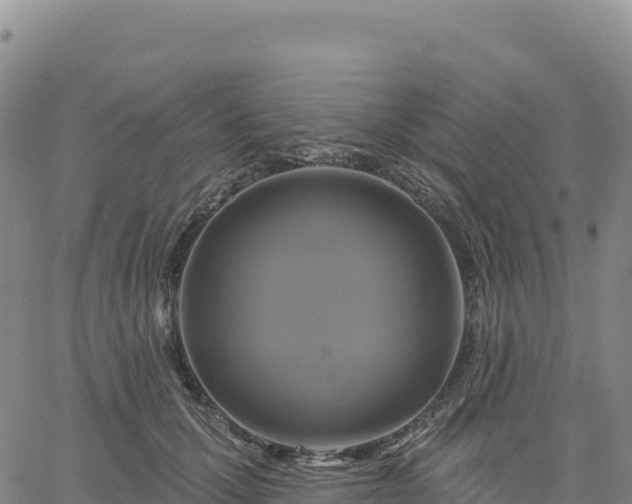 X0000061750607200512091637