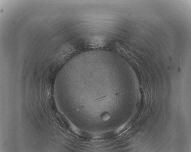 X0000061750608200512091637