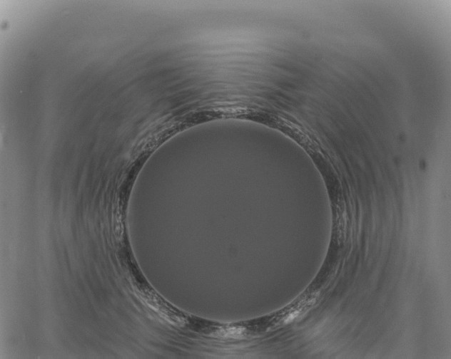 X0000061750609200512091637