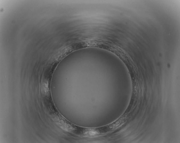 X0000061750610200512091637