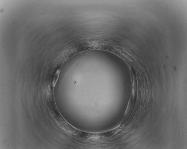 X0000061750611200512091637