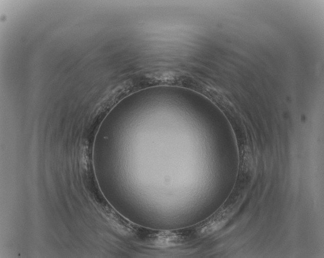 X0000061750612200512091637