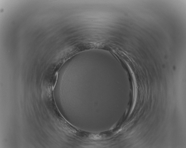 X0000061750613200512091637