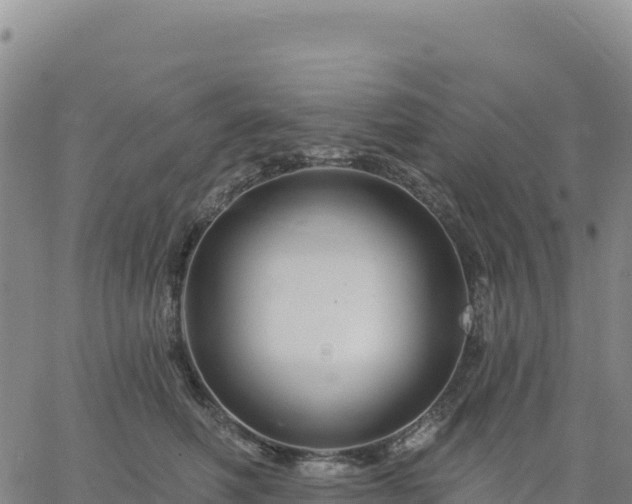 X0000061750614200512091637