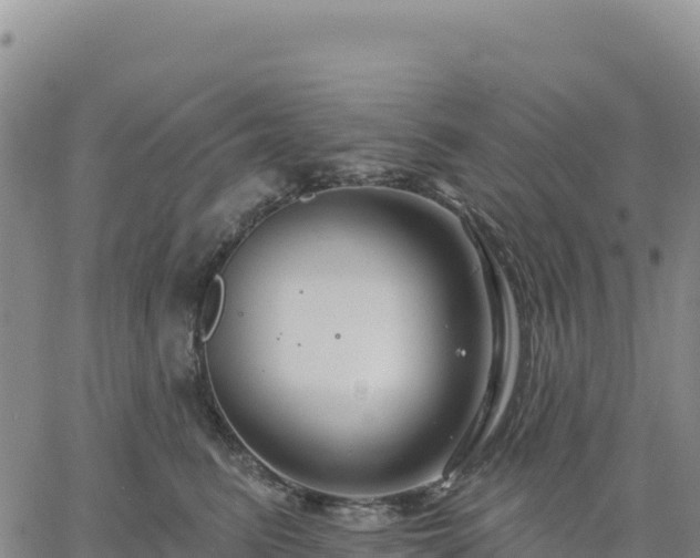 X0000061750615200512091637