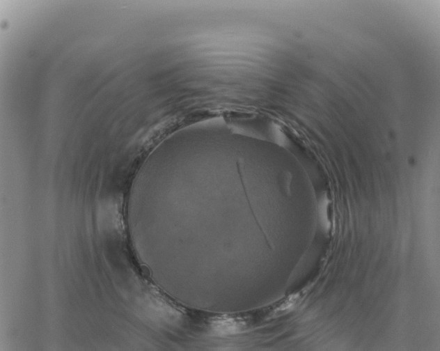 X0000061750616200512091637