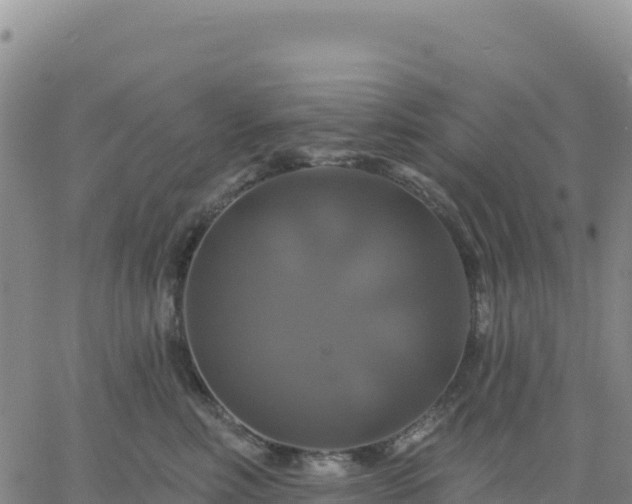 X0000061750618200512091637