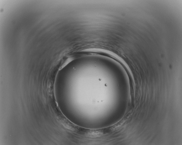 X0000061750619200512091637