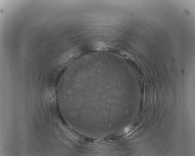 X0000061750620200512091637