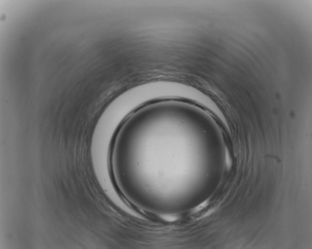 X0000061750621200512091637