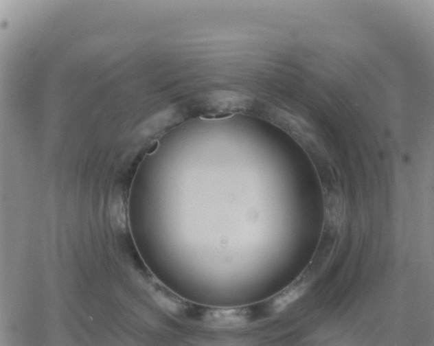 X0000061750622200512091637